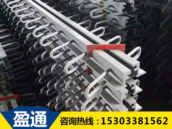 北京橋梁伸縮縫GQF-E