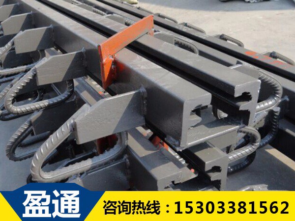 北京橋梁伸縮縫GQF-F