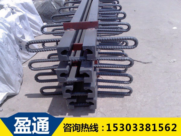 D60型橋梁伸縮縫.jpg D60型橋梁伸縮縫.jpg